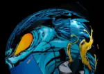 Casco Airform - immagine 21